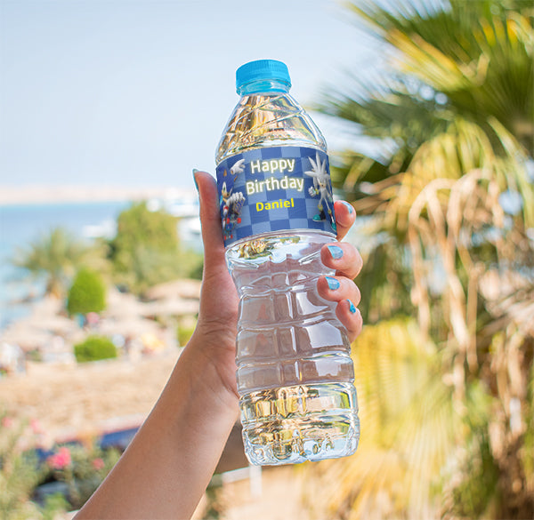 Sonic Birthday Theme